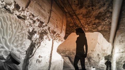 CGI impression of Eden Project Portland